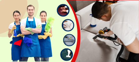 Couch Cleaning Robina